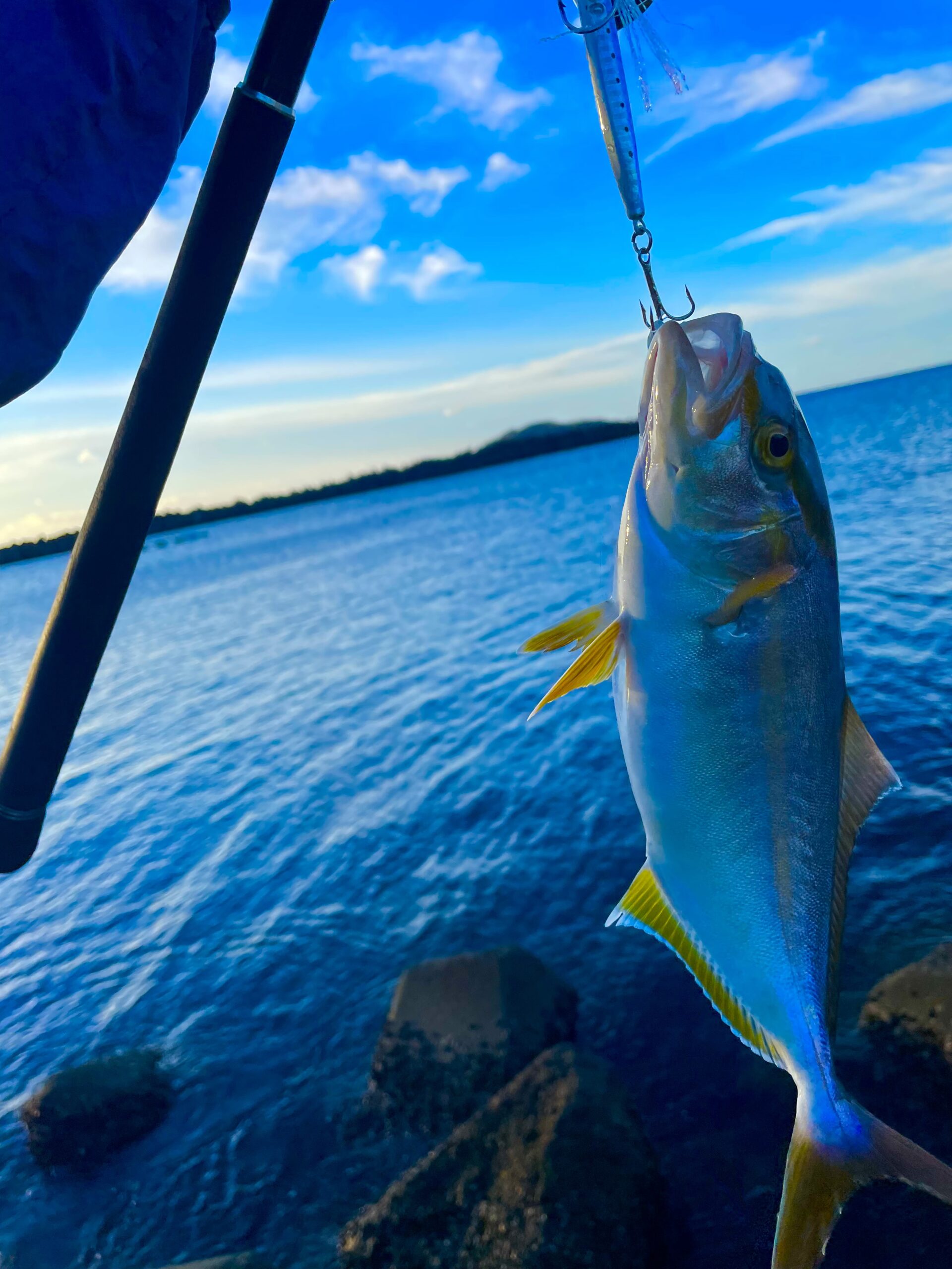 釣り好きは海近に移住するべきか 釣り 移住 さんくん地域おこし協力隊 四国の右下での移住生活日記