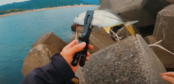 鱒レンジャーで釣るメッキの食べ方 さんくん地域おこし協力隊 四国の右下での移住生活日記 鱒レンジャーで釣るメッキの食べ方 さんくん地域おこし協力隊 四国の右下での移住生活日記